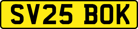 SV25BOK
