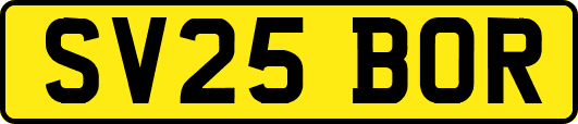 SV25BOR