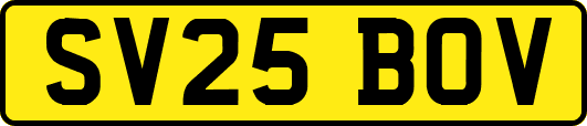 SV25BOV