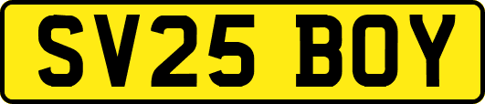 SV25BOY