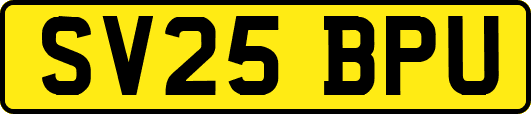 SV25BPU