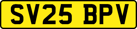 SV25BPV