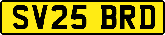 SV25BRD