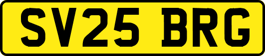 SV25BRG