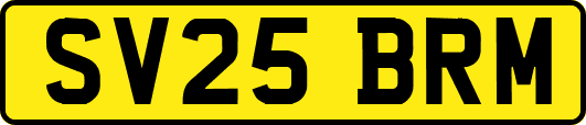SV25BRM