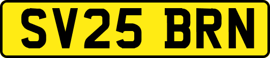 SV25BRN