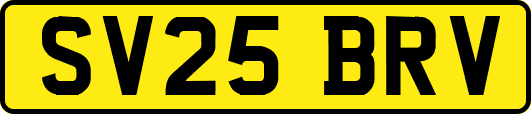 SV25BRV
