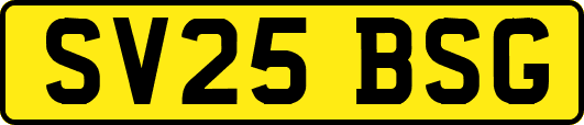 SV25BSG