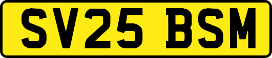 SV25BSM