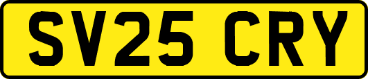 SV25CRY