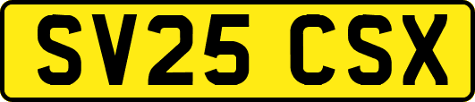 SV25CSX