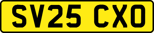 SV25CXO