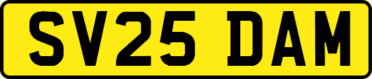 SV25DAM
