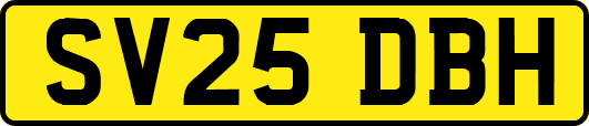 SV25DBH