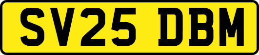 SV25DBM