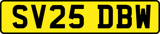 SV25DBW