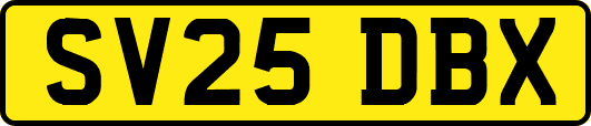 SV25DBX