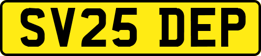 SV25DEP