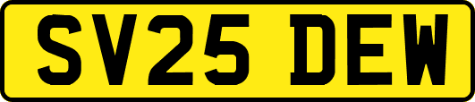 SV25DEW