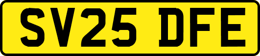 SV25DFE