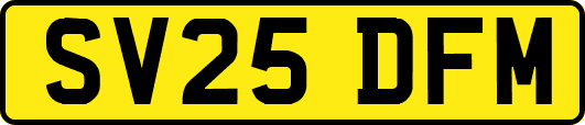 SV25DFM