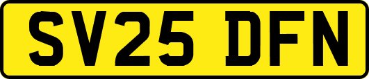 SV25DFN