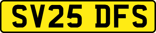 SV25DFS