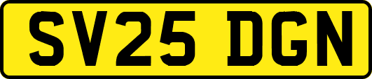 SV25DGN