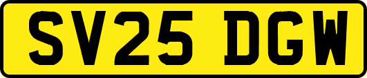 SV25DGW