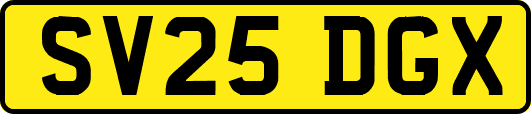 SV25DGX