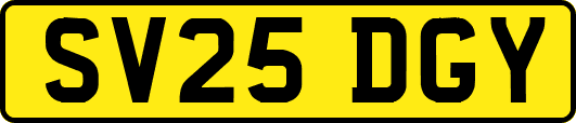 SV25DGY