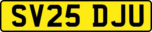 SV25DJU
