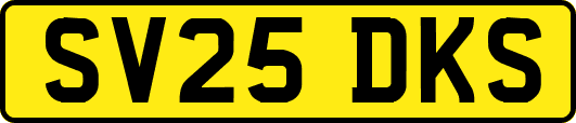 SV25DKS
