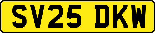 SV25DKW