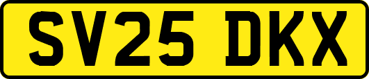 SV25DKX