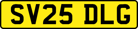 SV25DLG