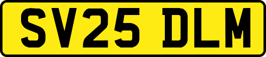 SV25DLM