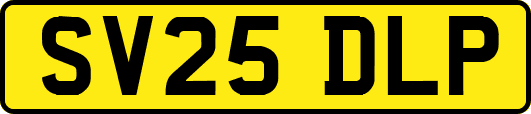 SV25DLP