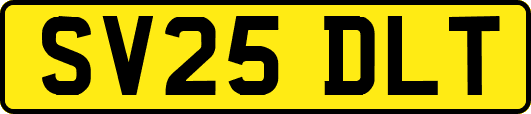 SV25DLT
