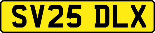 SV25DLX