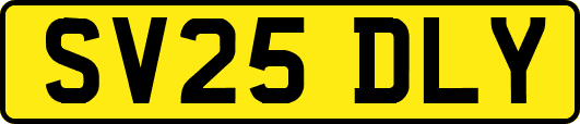 SV25DLY