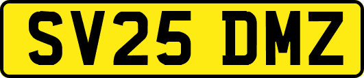 SV25DMZ
