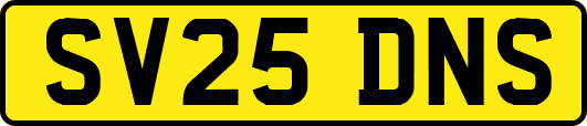 SV25DNS