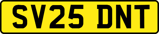 SV25DNT