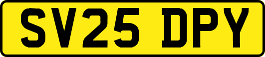 SV25DPY