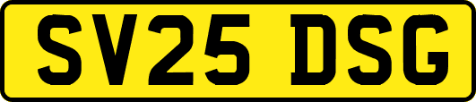 SV25DSG