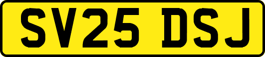 SV25DSJ