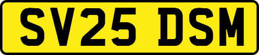 SV25DSM