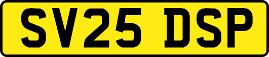 SV25DSP