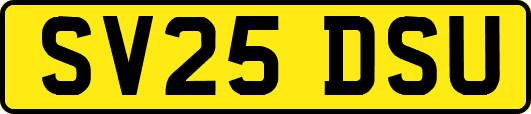 SV25DSU